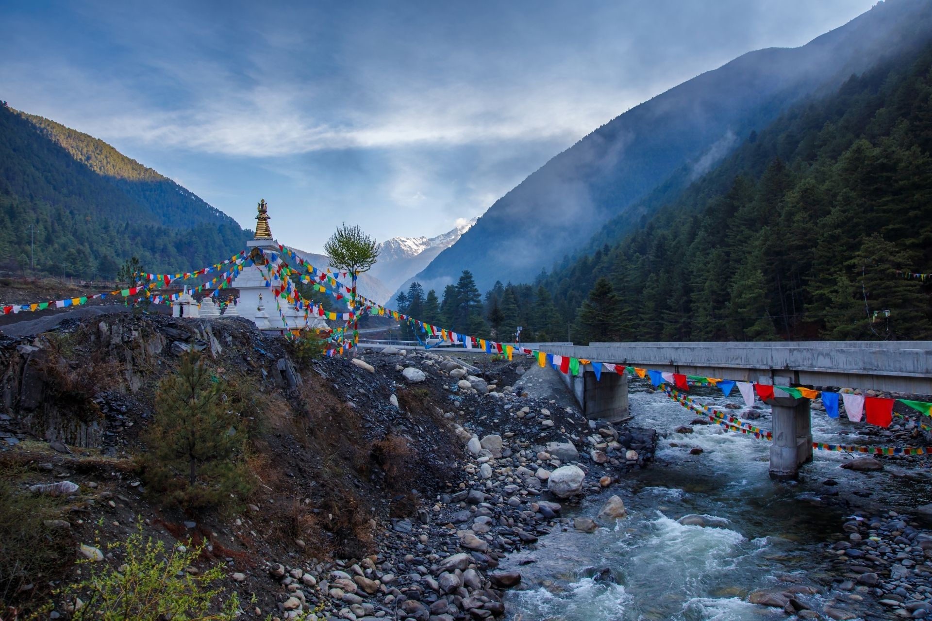 Beautiful winter landscape with fog covered trees at Litang County, Sichuan, China